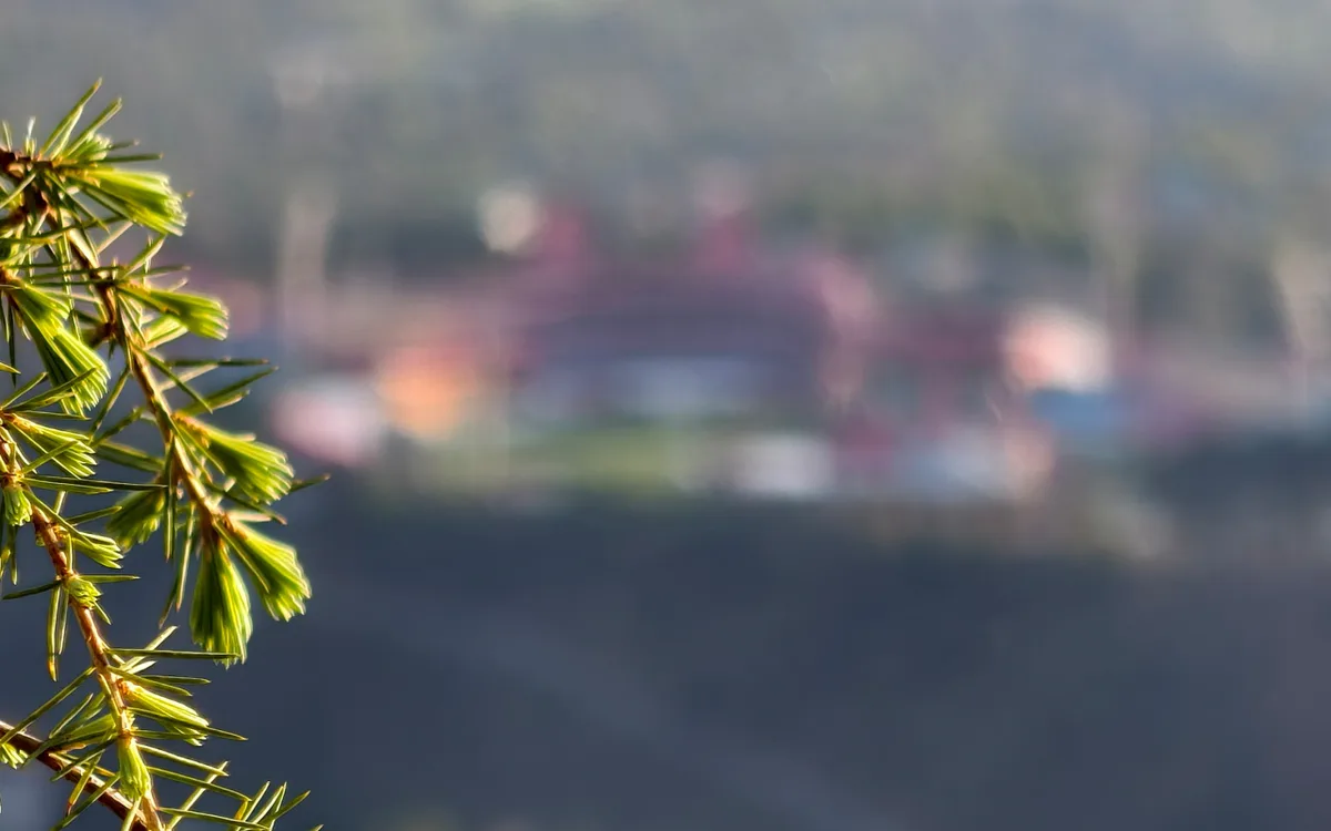 Manali With Shangarh Tour Package - View 5